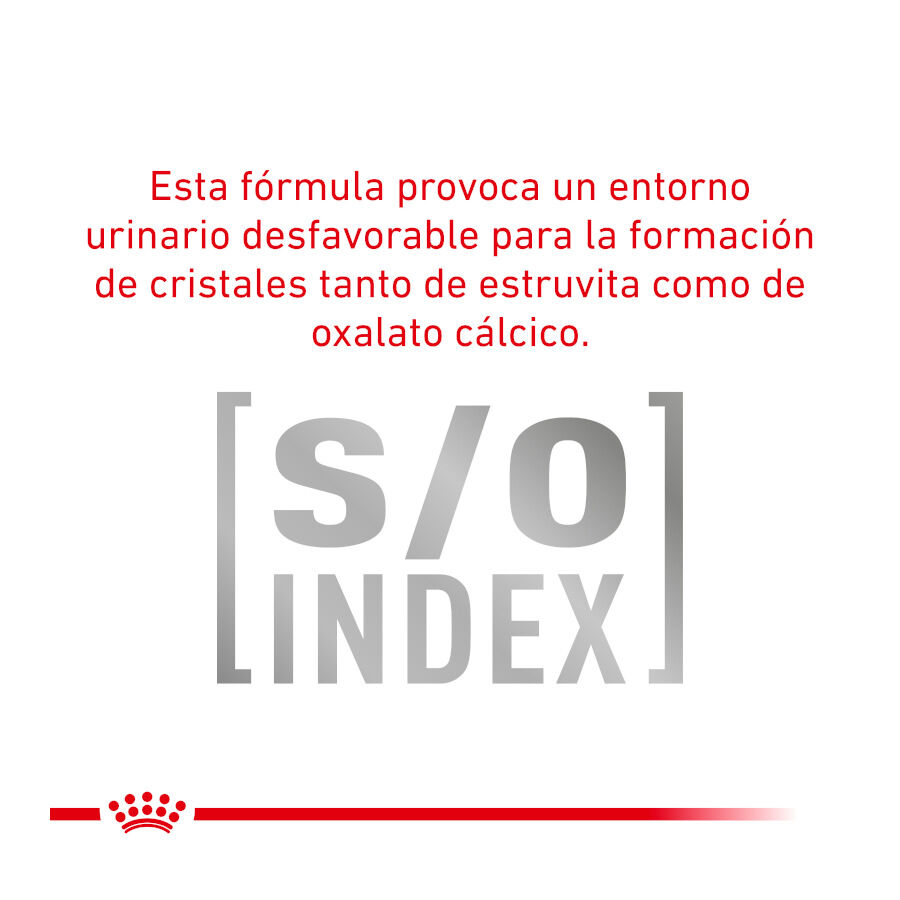 12 saquetas x 85 g Pack 12 Saquetas Royal Canin Veterinary Diet Feline Urinary S/O 85 g, , large Imagem n&uacute;mero 7