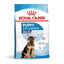 15 kg Royal Canin Puppy Maxi ra&ccedil;&atilde;o para c&atilde;es, , large Indicador imagem n&uacute;mero 1