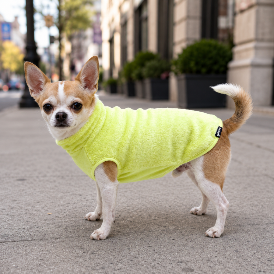 Gotoo Camisola Polar Verde-Lima para c&atilde;es, , large Imagem n&uacute;mero 1