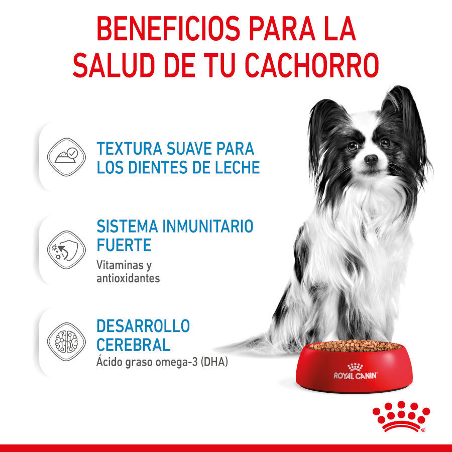 85 g Royal Canin X-Small Puppy Bocaditos em molho saqueta para cachorros, , large Imagem n&uacute;mero 6