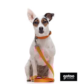 Gotoo Trela de nylon refletora laranja para cães