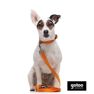 Gotoo Trela de nylon refletora laranja para cães