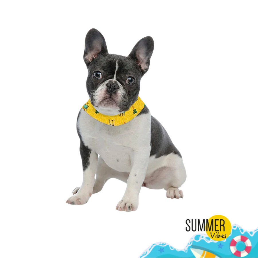 Summer Vibes Bandana refrescante para c&atilde;es, , large Imagem n&uacute;mero 2