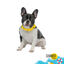 Summer Vibes Bandana refrescante para c&atilde;es, , large Indicador imagem n&uacute;mero 2