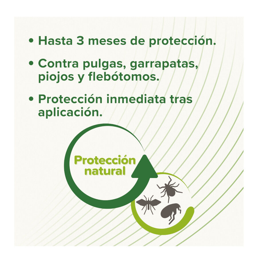 Beaphar Pipetas Repelentes para c&atilde;es, , large Imagem n&uacute;mero 3