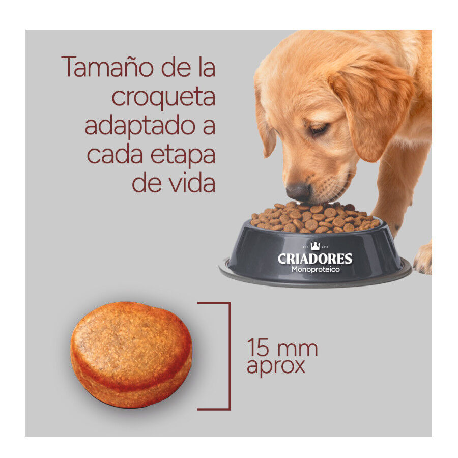 10 kg Criadores Monoproteico Light -40% de gordura Ra&ccedil;&atilde;o de frango para c&atilde;es adultos, , large Imagem n&uacute;mero 8