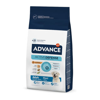 Advance Active Defense Maxi Adult Frango e Arroz ração para cães