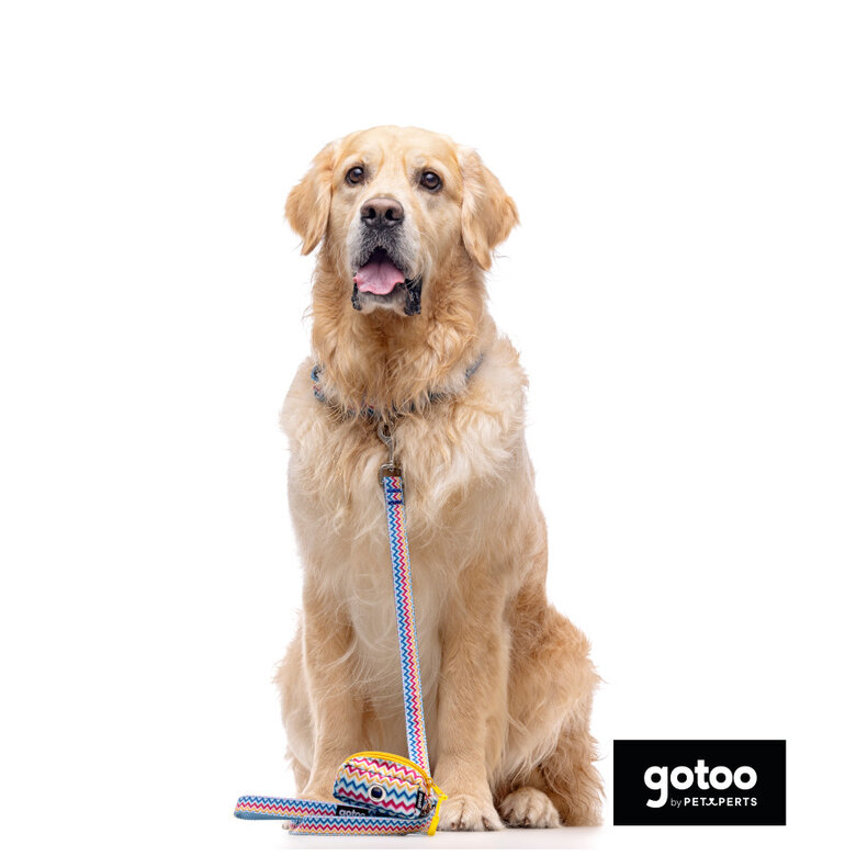 Gotoo Coleira estampada colorida para cães,  Imagem número 5 Gotoo Coleira estampada colorida para cães, , large Imagem número 5