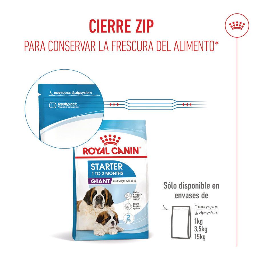 15 kg Royal Canin Starter Puppy Giant Ra&ccedil;&atilde;o para cachorro, , large Imagem n&uacute;mero 11