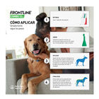 Frontline Combo Spot On Pipetas Antiparasitárias para cães 2 -10 kg, , large image number null