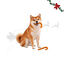 1 pack x 2 uns. Wonder Christmas Dupla de Bengalas de Natal Snacks para C&atilde;es, , large Indicador imagem n&uacute;mero 1