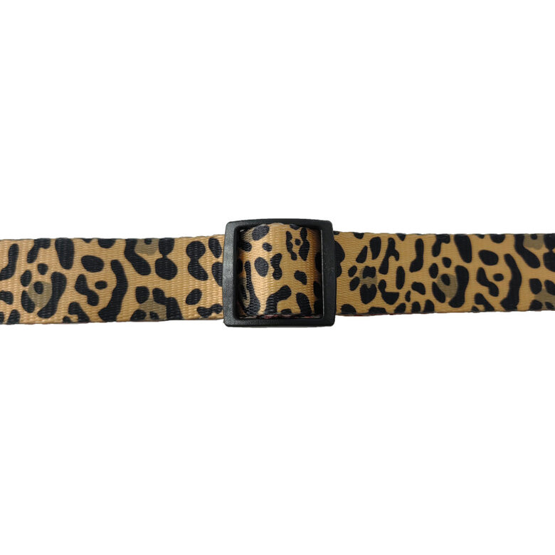 Gotoo Coleira estampada leopardo castanha para cães,  Imagem número 6 Gotoo Coleira estampada leopardo castanha para cães, , large Imagem número 6