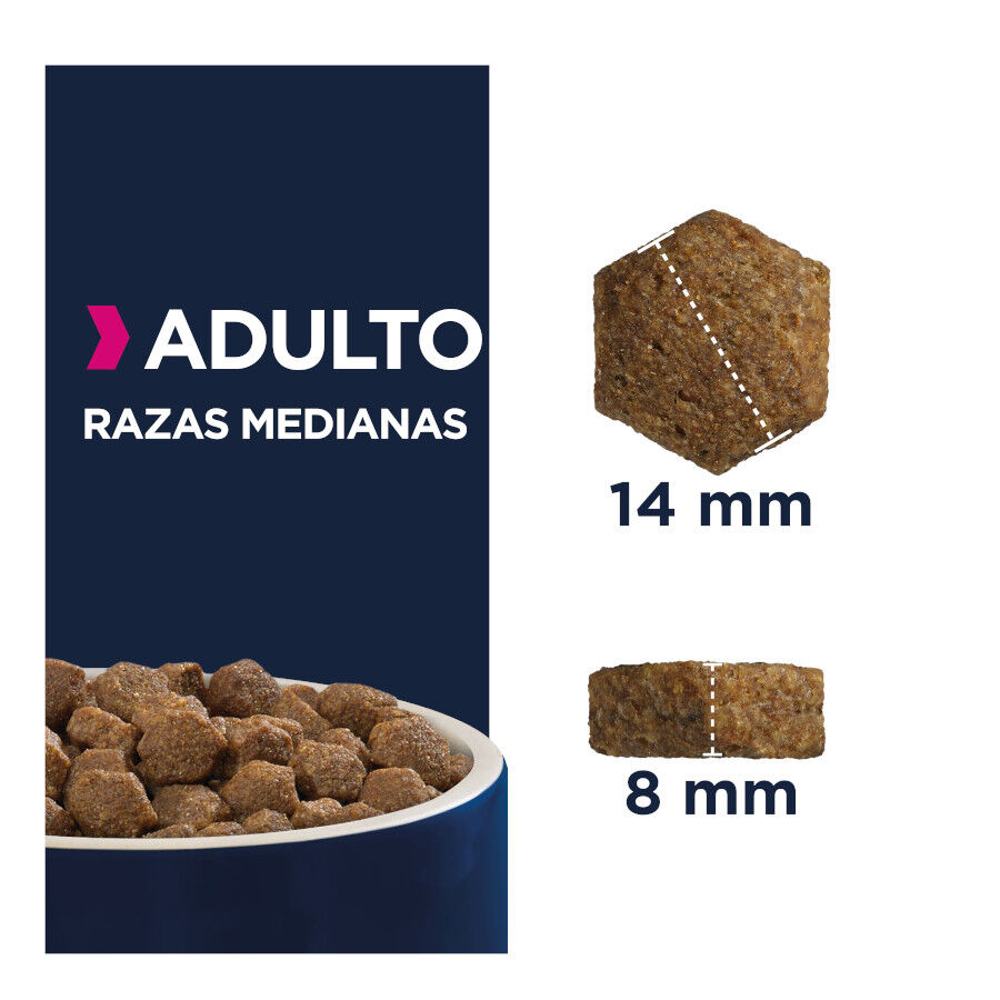 15 kg Eukanuba Adult Medium Frango para c&atilde;es, , large Imagem n&uacute;mero 4