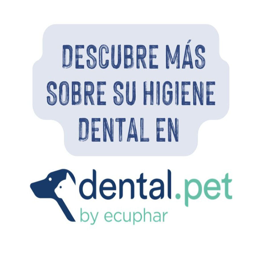 Ecuphar Plaqtiv+ Toalhetes Dent&aacute;rios para c&atilde;es e gatos, , large Imagem n&uacute;mero 5