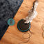 Cecotec Pumba 1600 Purrfect Meal Comedouro Dispensador para cães e gatos, , large Indicador imagem número 4