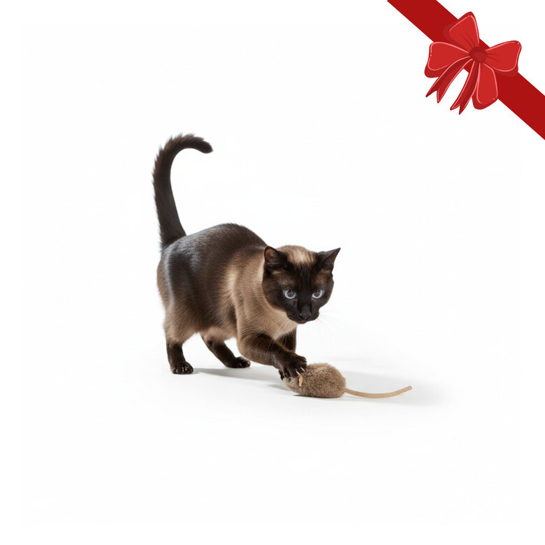 Wonder Christmas Brinquedo Rato de Natal para Gatos,  Imagem número 1 Wonder Christmas Brinquedo Rato de Natal para Gatos, , large Imagem número 1