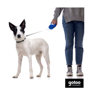Gotoo Trela extensível azul para cães
