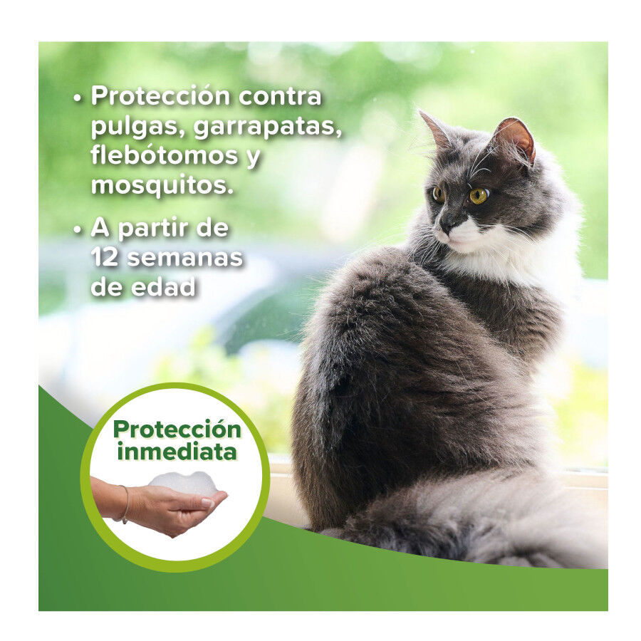 Beaphar Champ&ocirc; Repelente para c&atilde;es e gatos, , large Imagem n&uacute;mero 4