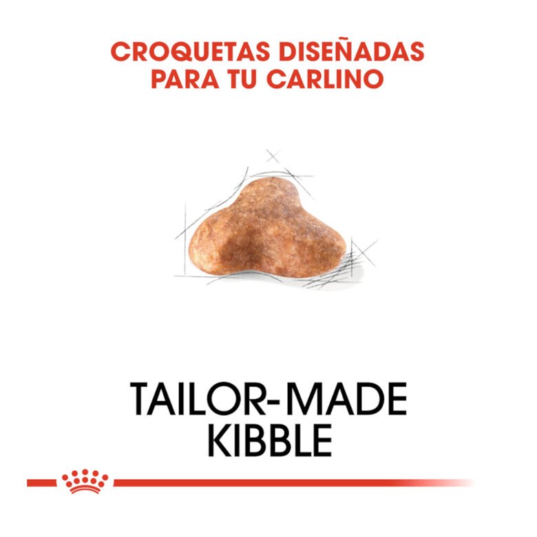 3 kg Royal Canin Adult Pug ração para cães,  Imagem número 5 3 kg Royal Canin Adult Pug ração para cães, , large Imagem número 5