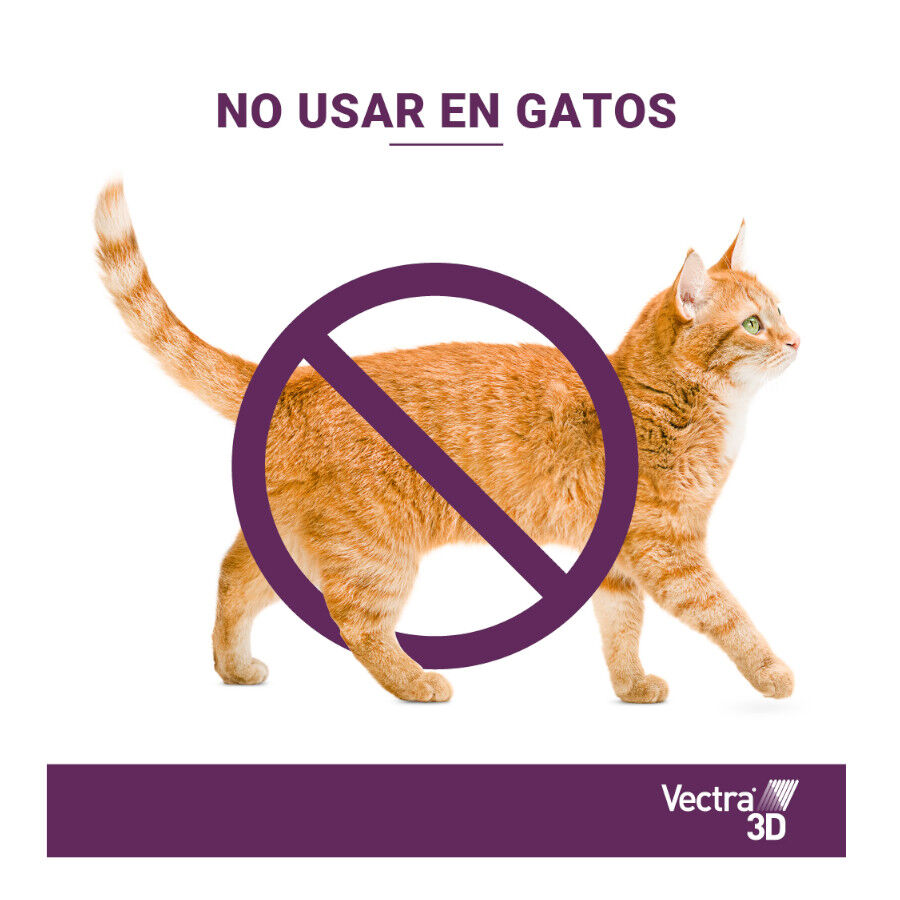 Vectra 3D Pipetas Antiparasit&aacute;rias para c&atilde;es, , large Imagem n&uacute;mero 5