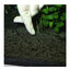 JBL 7 Kugeln Fertilizante para Plantas de aquário, , large Indicador imagem número 7