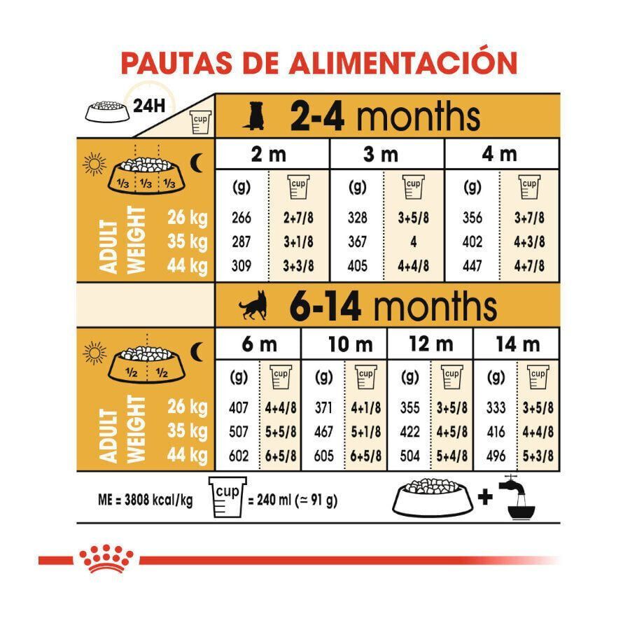 12 kg Royal Canin Puppy Pastor Alem&atilde;o ra&ccedil;&atilde;o para c&atilde;es, , large Imagem n&uacute;mero 9