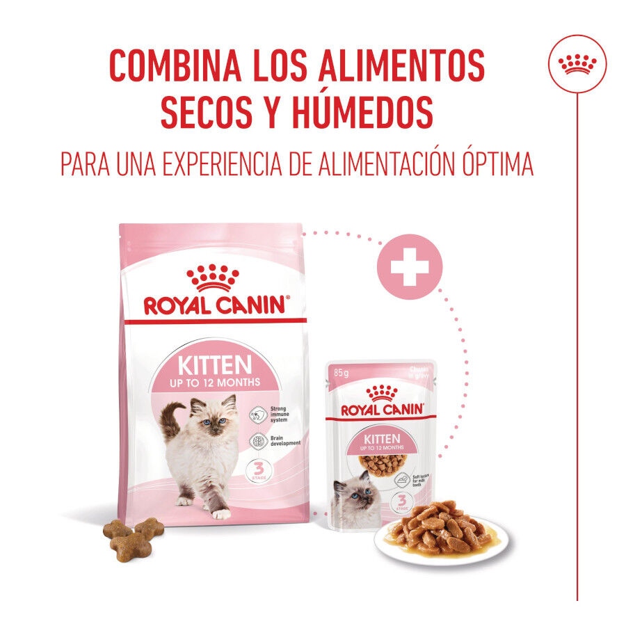 85 g Royal Canin Kitten Alimento H&uacute;mido para gatinhos, , large Imagem n&uacute;mero 5