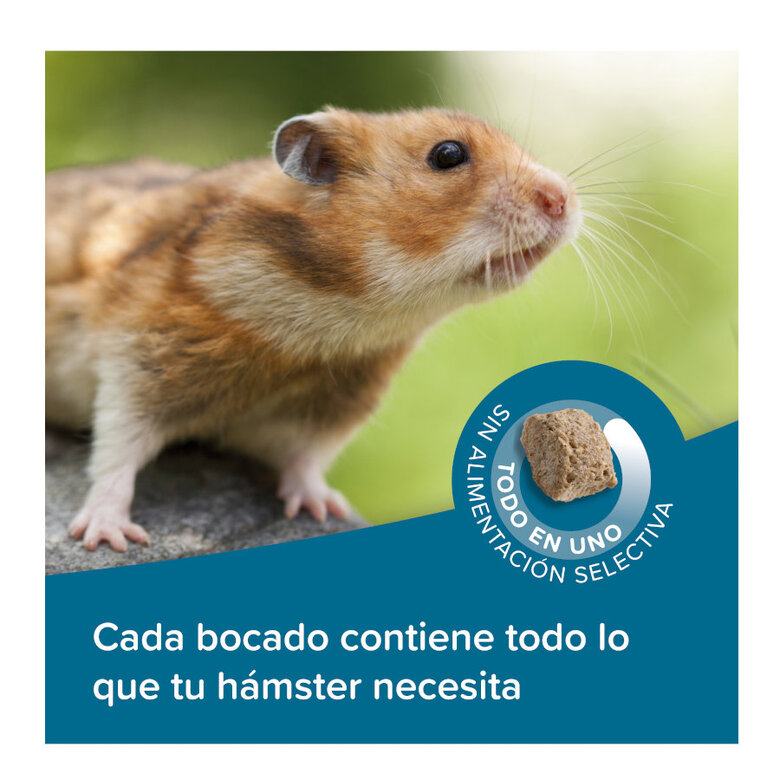 500 g Beaphar Care+ Ração para hámsteres,  Imagem número 4 500 g Beaphar Care+ Ração para hámsteres, , large Imagem número 4
