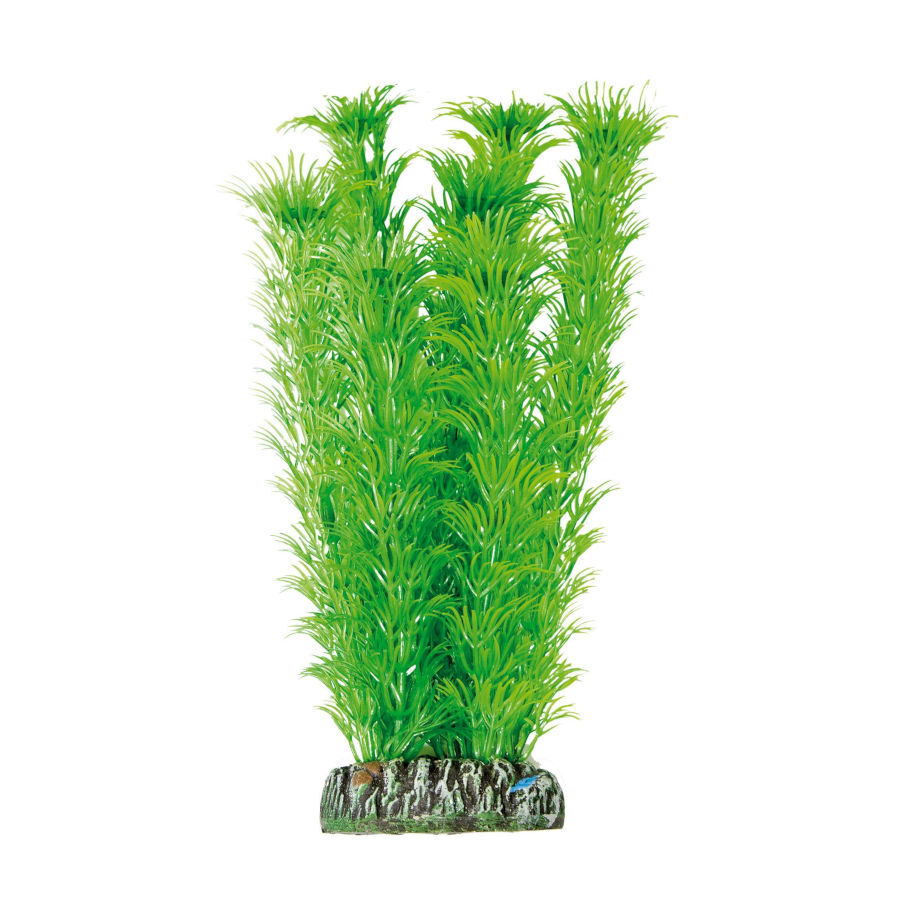 ICA Aquatic Plants Ambulia planta artificial para aqu&aacute;rios, , large Imagem n&uacute;mero 1