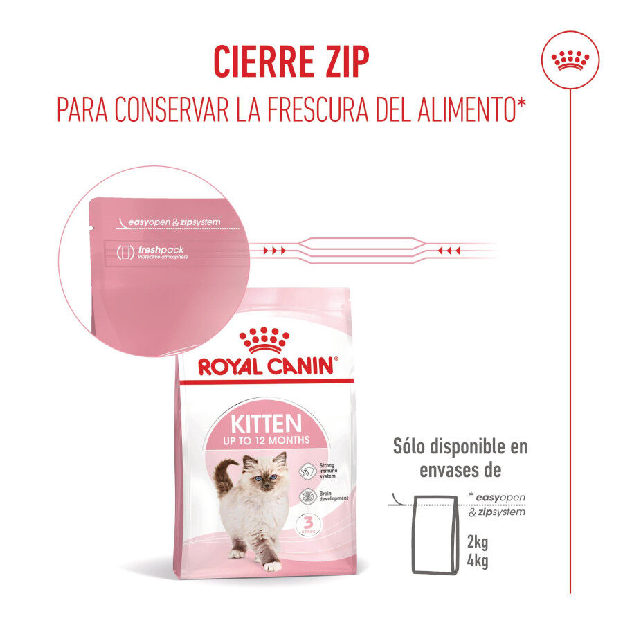 10 kg Royal Canin Kitten ra&ccedil;&atilde;o para gatos, , large Imagem n&uacute;mero 13