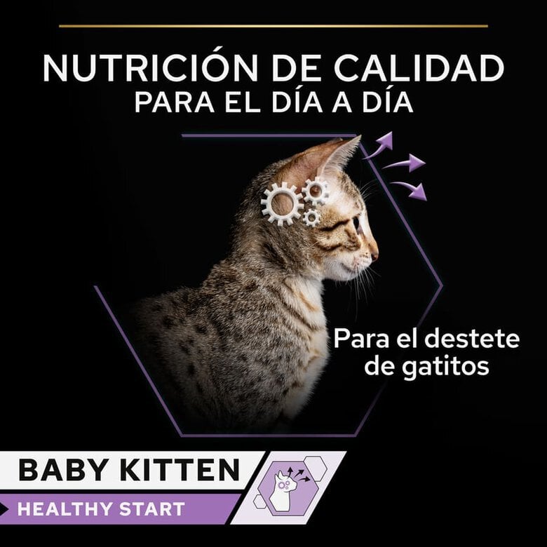 85 g Purina Pro Plan Baby Kitten Mousse lata,  Imagem número 3 85 g Purina Pro Plan Baby Kitten Mousse lata, , large Imagem número 3