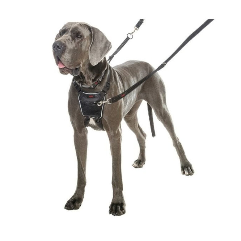 Halti Peitoral Anti-puxão Pequeno para Cães,  Imagem número 3 Halti Peitoral Anti-puxão Pequeno para Cães, , large Imagem número 3