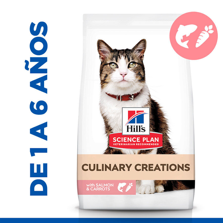 10 kg Hill's Science Plan Culinary Creations Ra&ccedil;&atilde;o de salm&atilde;o e cenoura para gatos, , large Imagem n&uacute;mero 2