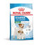 Royal Canin Mini Starter MothereBaby ração para cães, , large Indicador imagem número 2