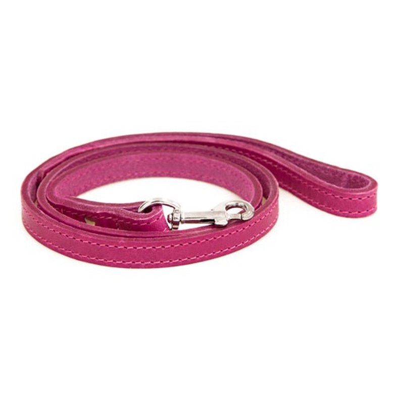 TK-Pet Namur rosa correa perro de cuero image number null