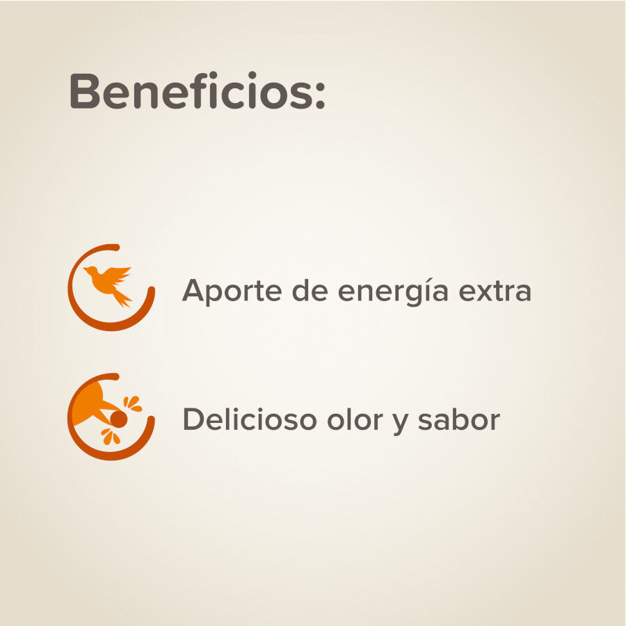 Beaphar Estimulante de canto para p&aacute;ssaros, , large Imagem n&uacute;mero 2