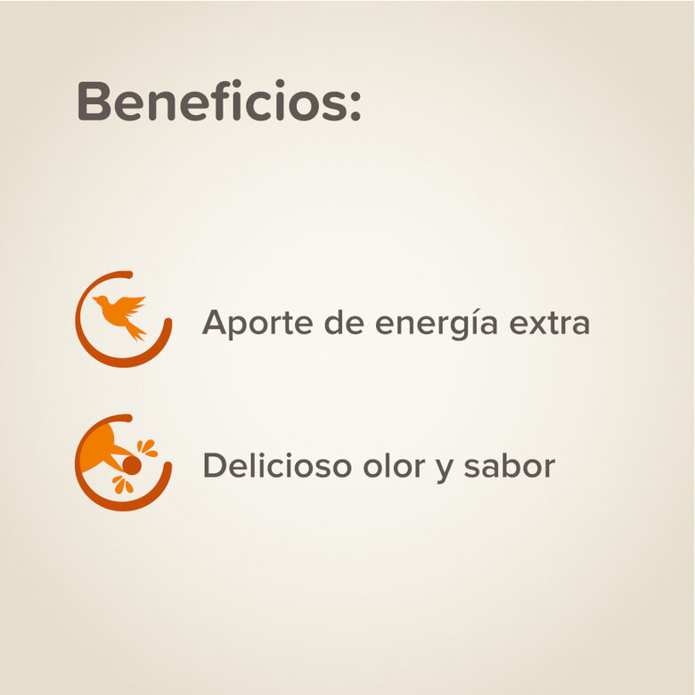 Beaphar Estimulante de canto para pássaros,  Imagem número 2 Beaphar Estimulante de canto para pássaros, , large Imagem número 2