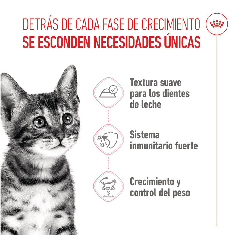 85 g Royal Canin Kitten Sterilised Saquetas de Gelatina para gatinhos,  Imagem número 3 85 g Royal Canin Kitten Sterilised Saquetas de Gelatina para gatinhos, , large Imagem número 3