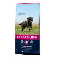 Eukanuba Adult Manutenção Raças Grandes