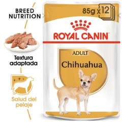 Royal Canin Chihuahua Adult comida húmida para cães