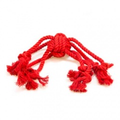 Brinquedo de várias cordas TK-Pet Octopus