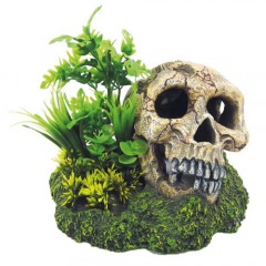 Decoração de aquários Caveira com plantas