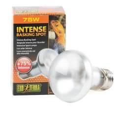 Exo terra Lâmpada de Luz solar Intense Basking Spot