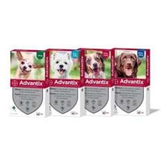 Advantix Pipeta tripla protecção