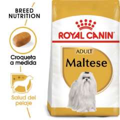 Royal Canin Bichon Maltês