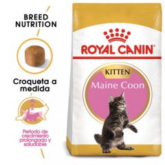 Royal Canin Kitten Maine Coon