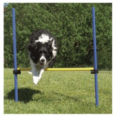 Barreira de salto de agility para cães