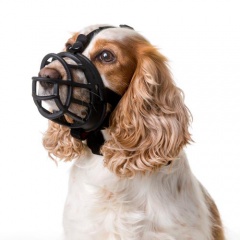 Açaimo Baskerville Ultra Muzzle