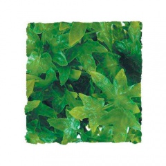 Plantas artificiais: Hera do Congo