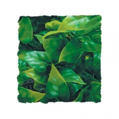 Plantas artificiais: Phyllo Mexicano
